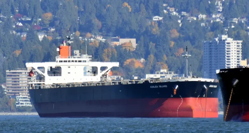 AZALEA ISLAND Bulk Carrier IMO 9304148