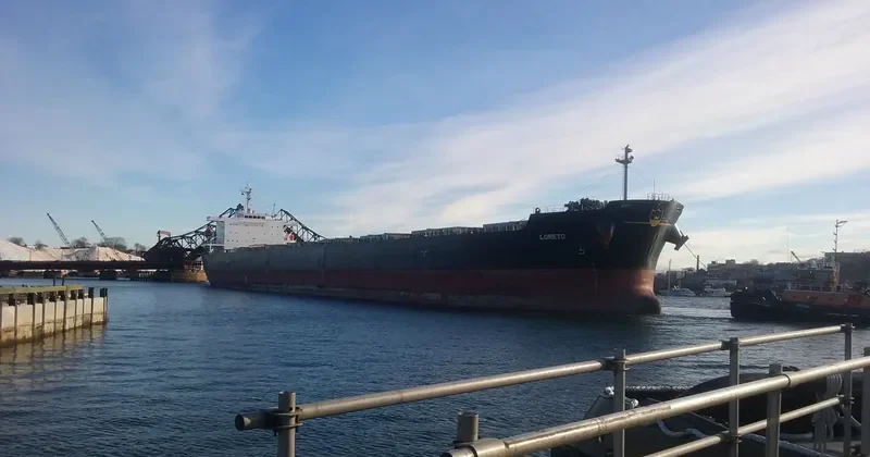 OMICRON CREST Bulk Carrier IMO 9304203 photo 3