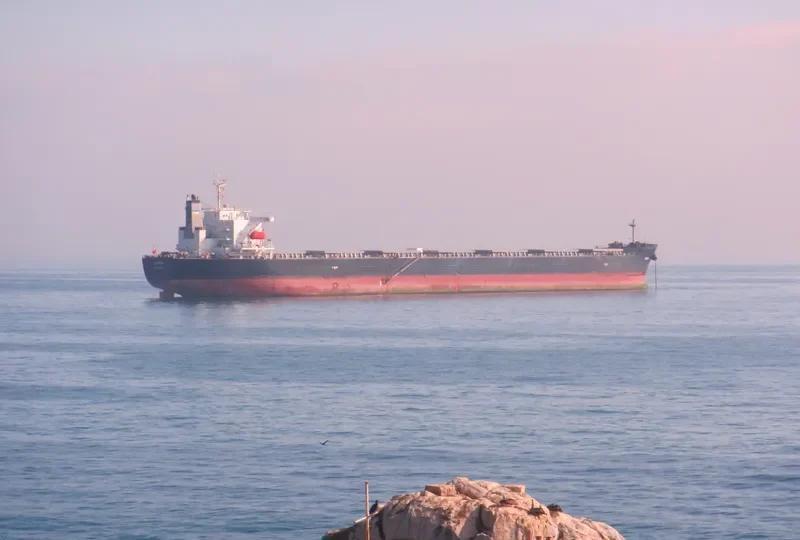 OMICRON CREST Bulk Carrier IMO 9304203 photo 7