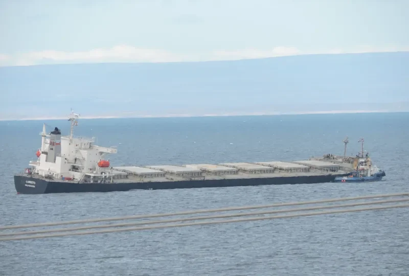 OMICRON CREST Bulk Carrier IMO 9304203 photo 9