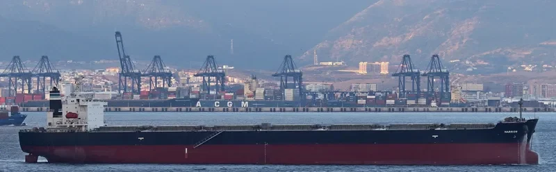 ARROW LADY Bulk Carrier IMO 9304215