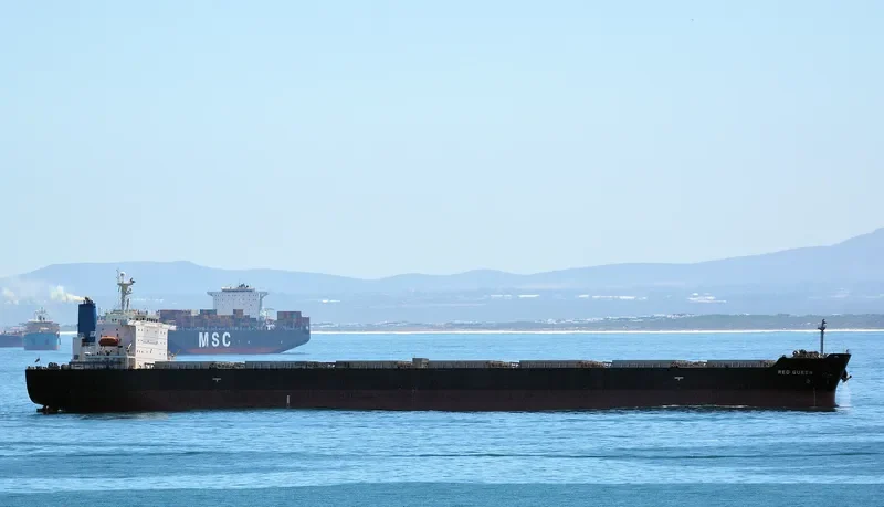 ARROW LADY Bulk Carrier IMO 9304215 photo 6