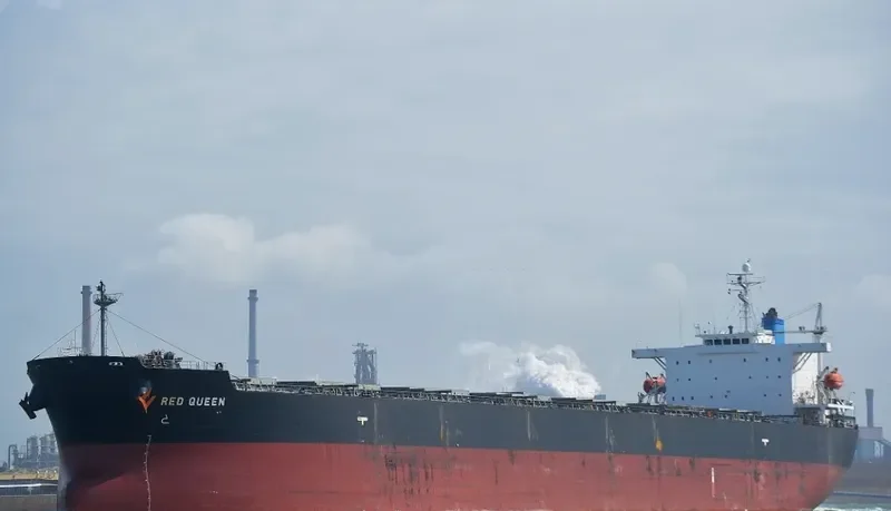 ARROW LADY Bulk Carrier IMO 9304215 photo 8
