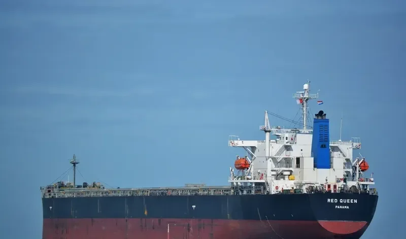 ARROW LADY Bulk Carrier IMO 9304215 photo 9
