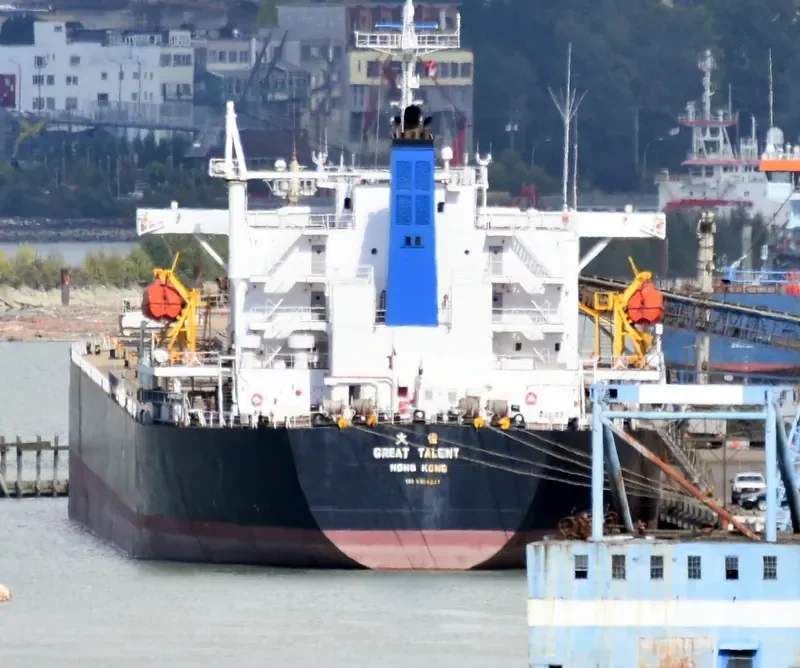 GREAT TALENT Bulk Carrier IMO 9304227 photo 4