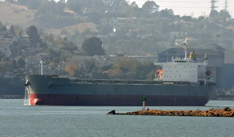LOWLANDS MAINE Bulk Carrier IMO 9304239 photo 6