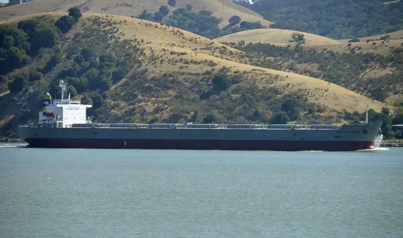 LOWLANDS MAINE Bulk Carrier IMO 9304239 photo 9