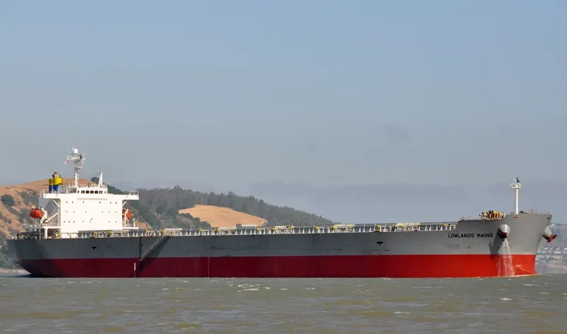 LOWLANDS MAINE Bulk Carrier IMO 9304239 photo 10