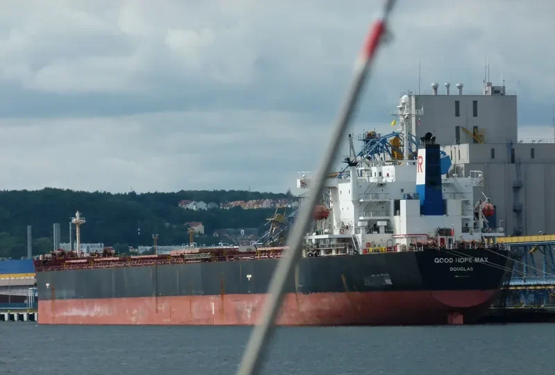GOOD HOPE MAX Bulk Carrier IMO 9304241 photo 9