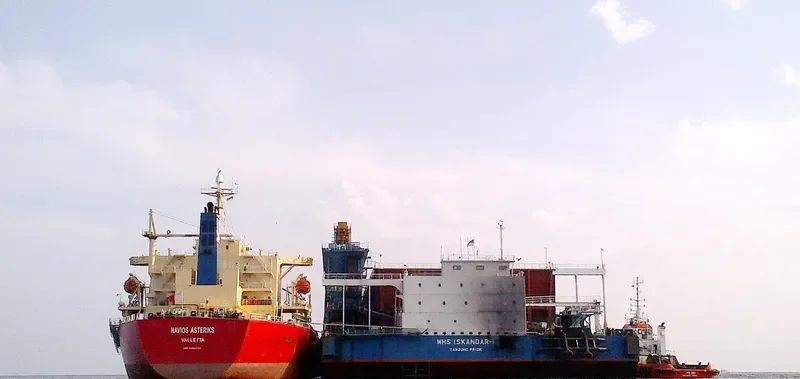 NAVIOS ASTERIKS Bulk Carrier IMO 9304253 photo 3