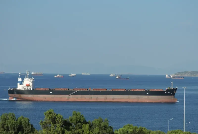 IVESTOS 5 Bulk Carrier IMO 9304265 photo 6