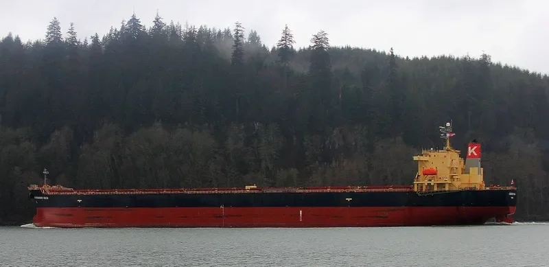 OMICRON TITINA Bulk Carrier IMO 9304277 photo 2