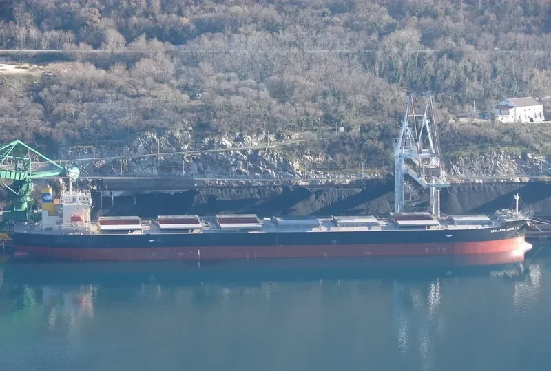 NENITA Bulk Carrier IMO 9304289 photo 6