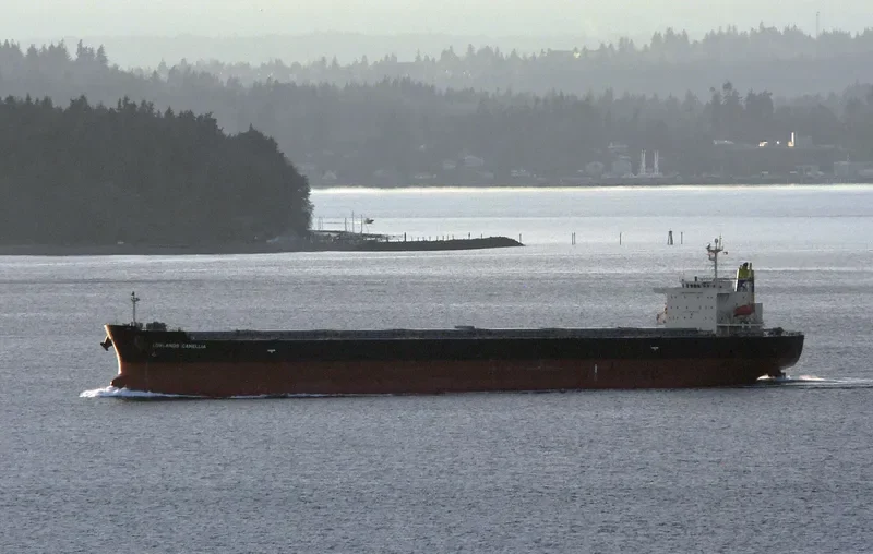 NENITA Bulk Carrier IMO 9304289 photo 10