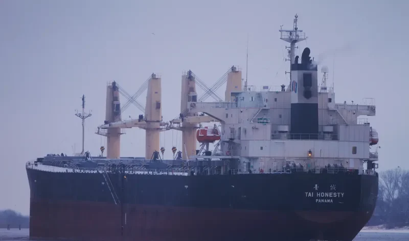 TAI HONESTY Bulk Carrier IMO 9304370 photo 4