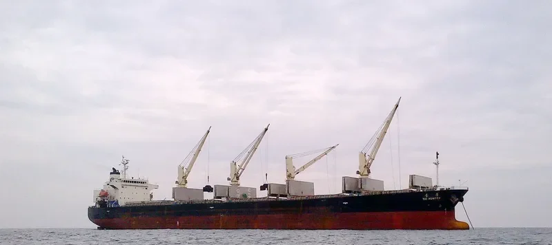 TAI HUNTER Bulk Carrier IMO 9304382 photo 3
