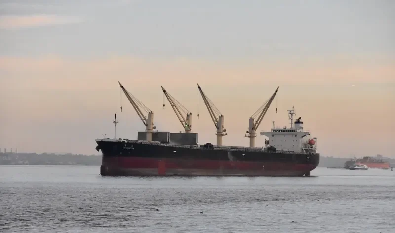 TAI HUNTER Bulk Carrier IMO 9304382 photo 7