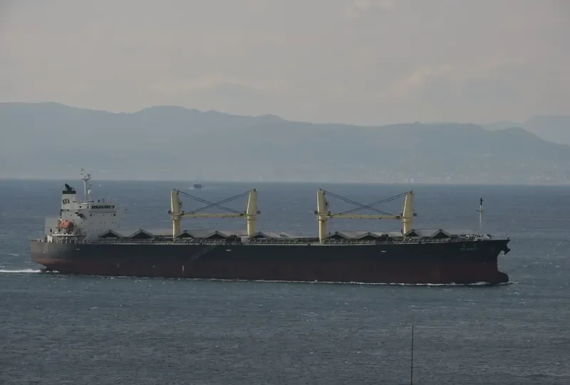 TAI HUNTER Bulk Carrier IMO 9304382 photo 9