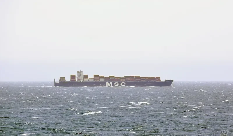 MSC ESTHI Container Ship IMO 9304411