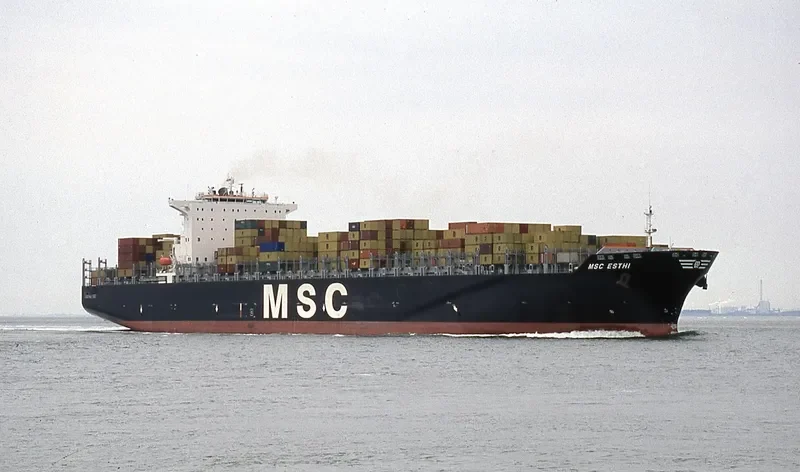 MSC ESTHI Container Ship IMO 9304411 photo 4