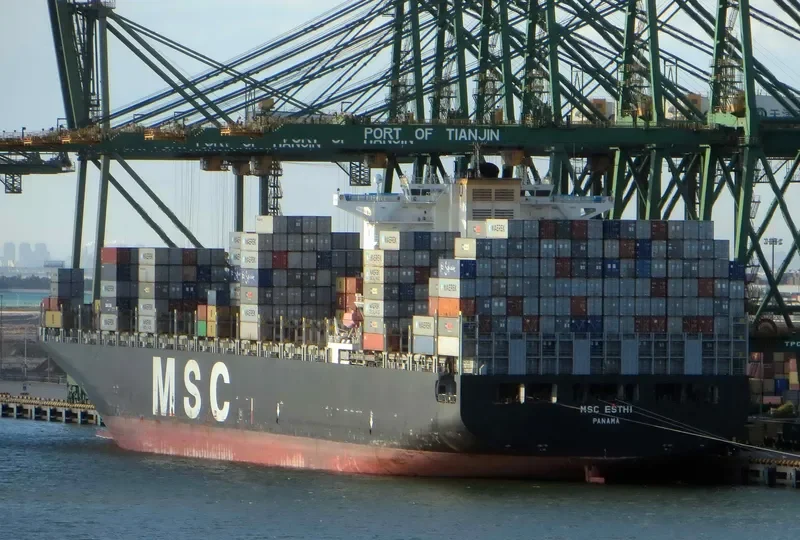 MSC ESTHI Container Ship IMO 9304411 photo 8