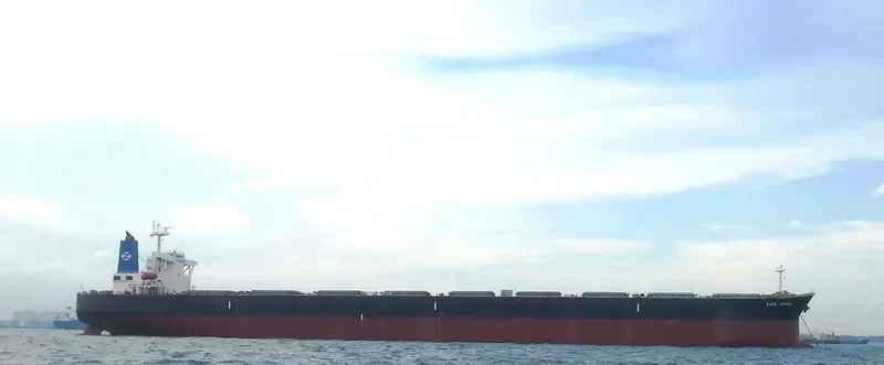 CAPE HERON Bulk Carrier IMO 9304540 photo 2