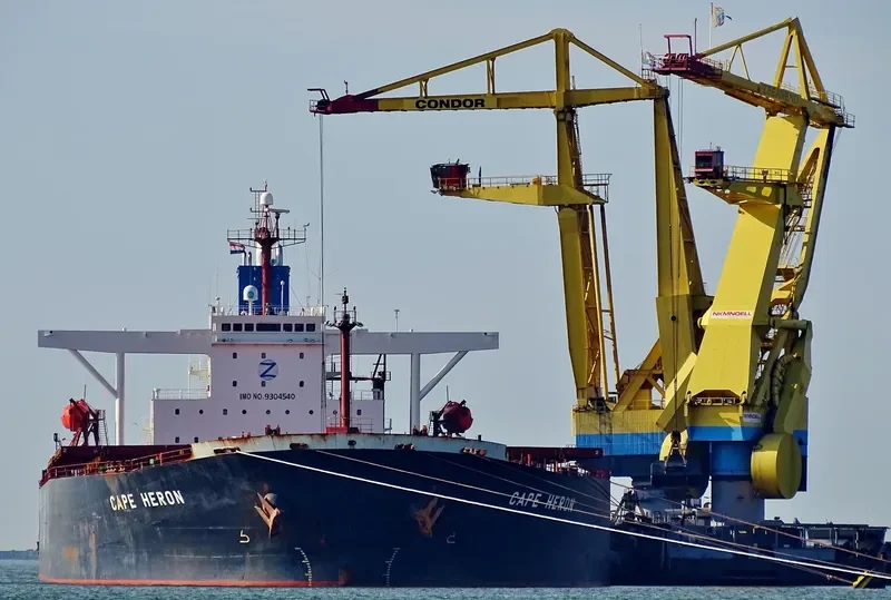 CAPE HERON Bulk Carrier IMO 9304540 photo 6