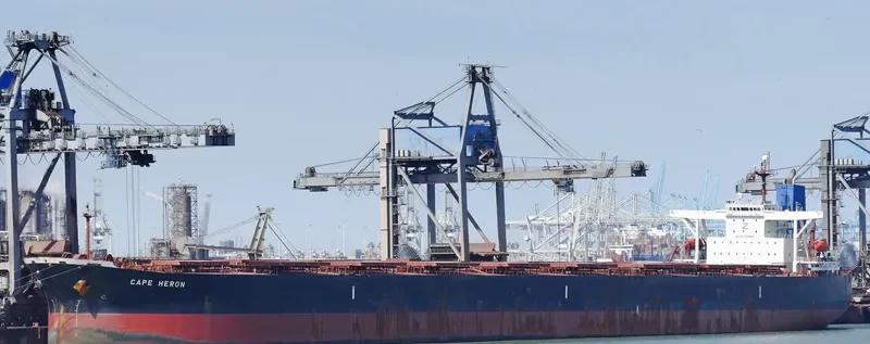CAPE HERON Bulk Carrier IMO 9304540 photo 9
