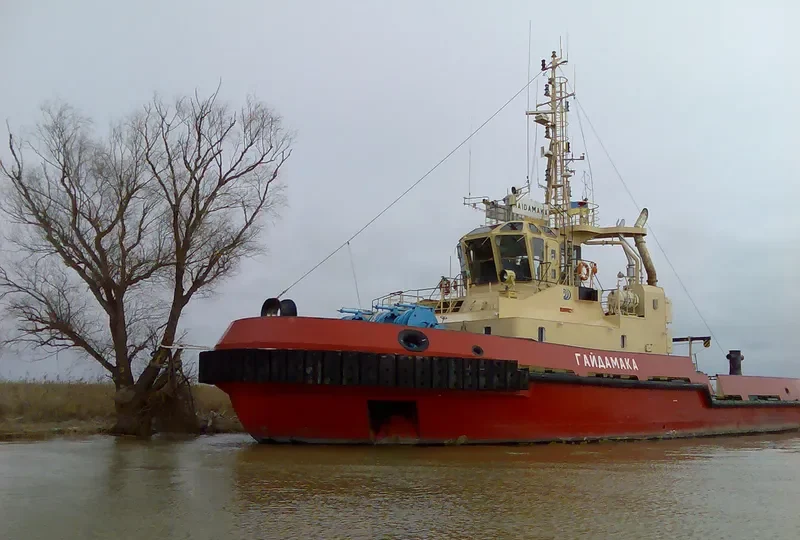 HAJDAMAKA General Cargo IMO 9304849 photo 7