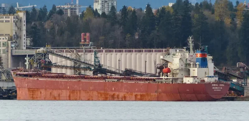 NAVIOS SYMMETRY Bulk Carrier IMO 9305099 photo 5