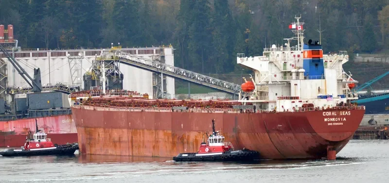 NAVIOS SYMMETRY Bulk Carrier IMO 9305099 photo 7