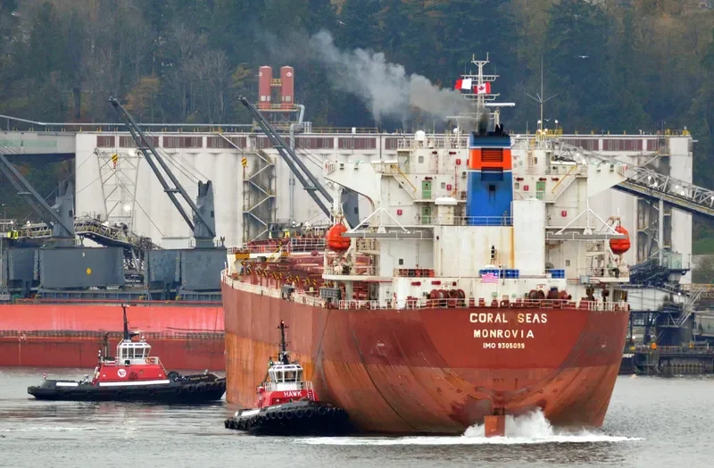 NAVIOS SYMMETRY Bulk Carrier IMO 9305099 photo 8