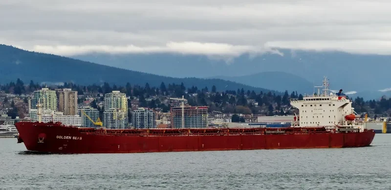 NAVIOS ALTAIR I Bulk Carrier IMO 9305104 photo 3