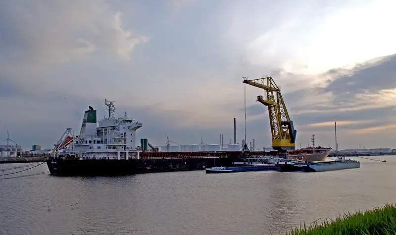 DELRUBA Bulk Carrier IMO 9305207 photo 3