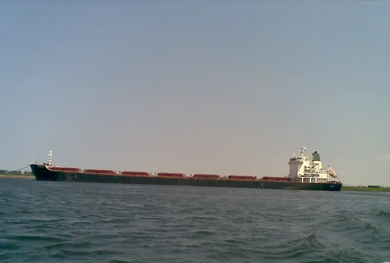 DELRUBA Bulk Carrier IMO 9305207 photo 4