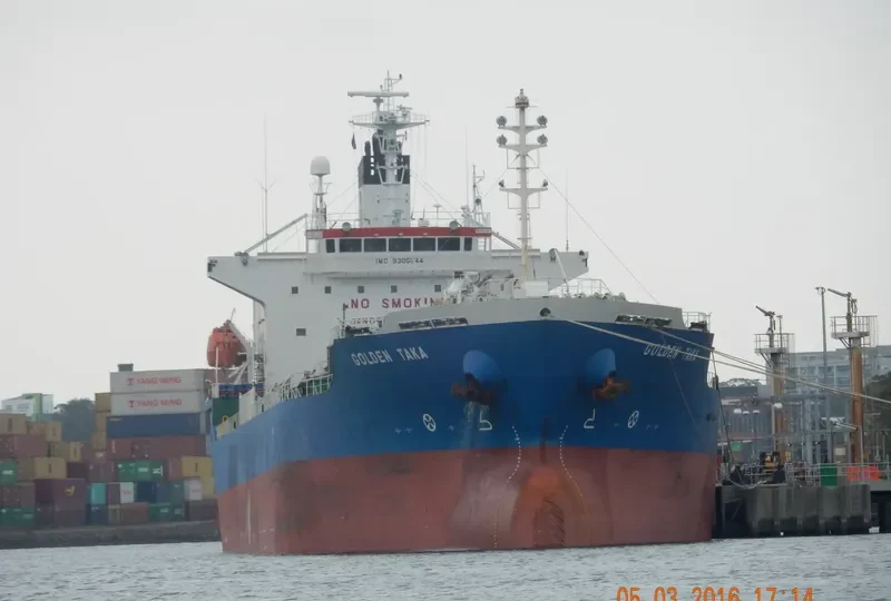 GOLDEN TAKA Tanker IMO 9305544 photo 5