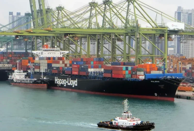 PALENA Container Ship IMO 9306196