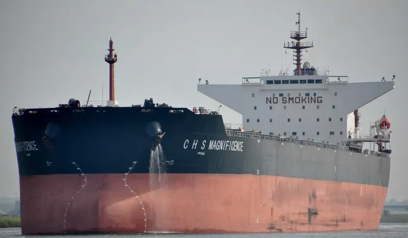 C H S MAGNIFICENCE Bulk Carrier IMO 9307073 photo 7