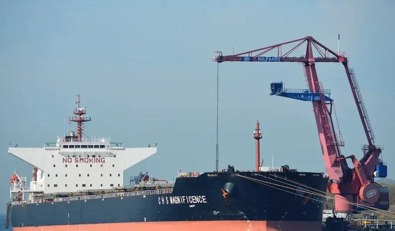 C H S MAGNIFICENCE Bulk Carrier IMO 9307073 photo 8