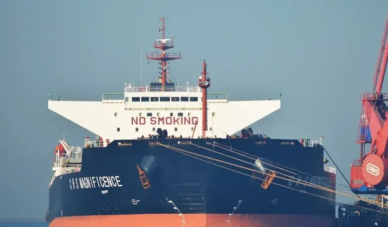 C H S MAGNIFICENCE Bulk Carrier IMO 9307073 photo 9