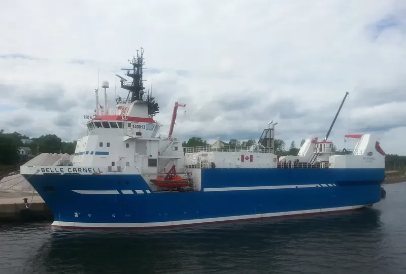BELLE CARNELL General Cargo IMO 9307114 photo 9