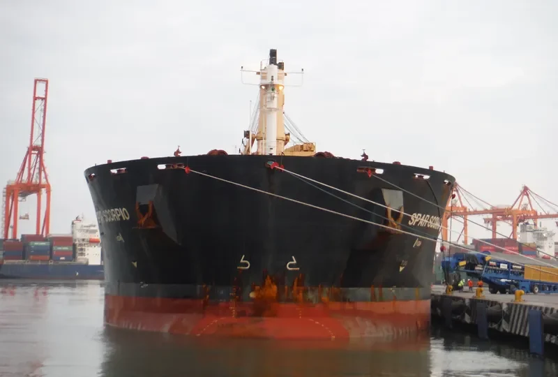 SPAR SCORPIO Bulk Carrier IMO 9307578 photo 6