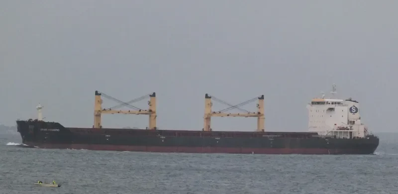 SPAR SCORPIO Bulk Carrier IMO 9307578 photo 10