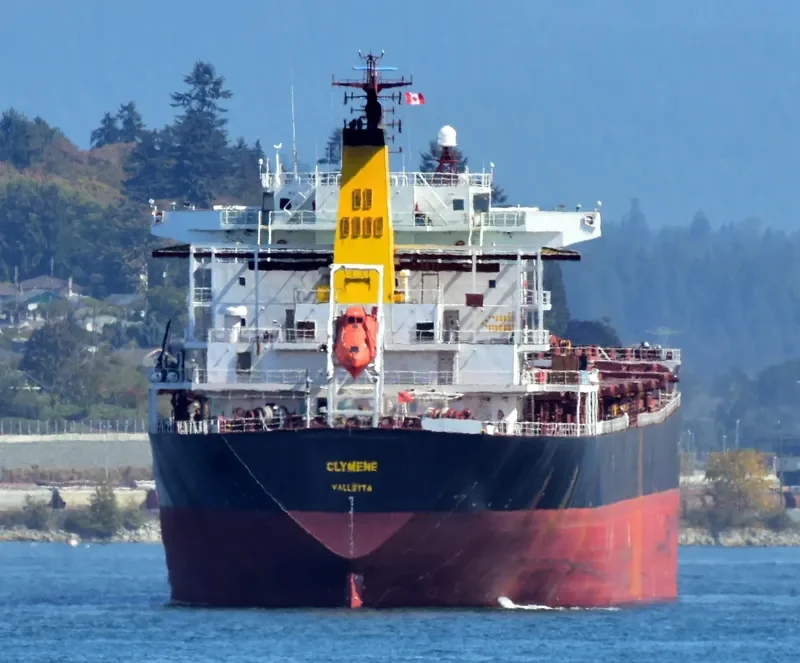 NANXIN ANGELA Bulk Carrier IMO 9307657 photo 7