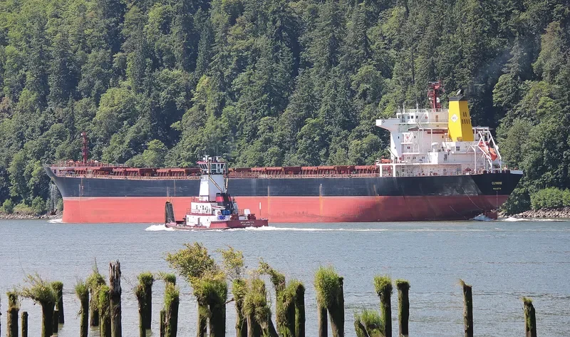 NANXIN ANGELA Bulk Carrier IMO 9307657 photo 10
