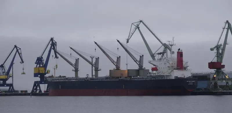 ICARIUS Bulk Carrier IMO 9308247 photo 4