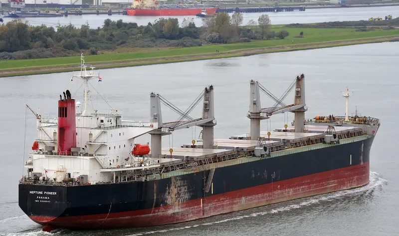 ICARIUS Bulk Carrier IMO 9308247 photo 6