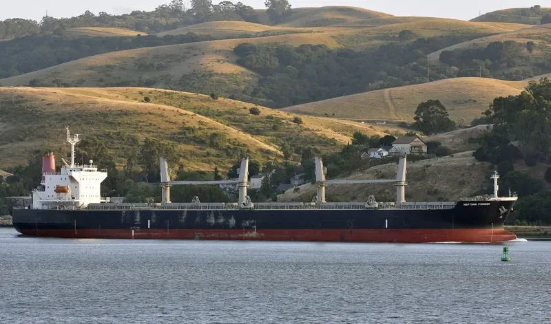 ICARIUS Bulk Carrier IMO 9308247 photo 8