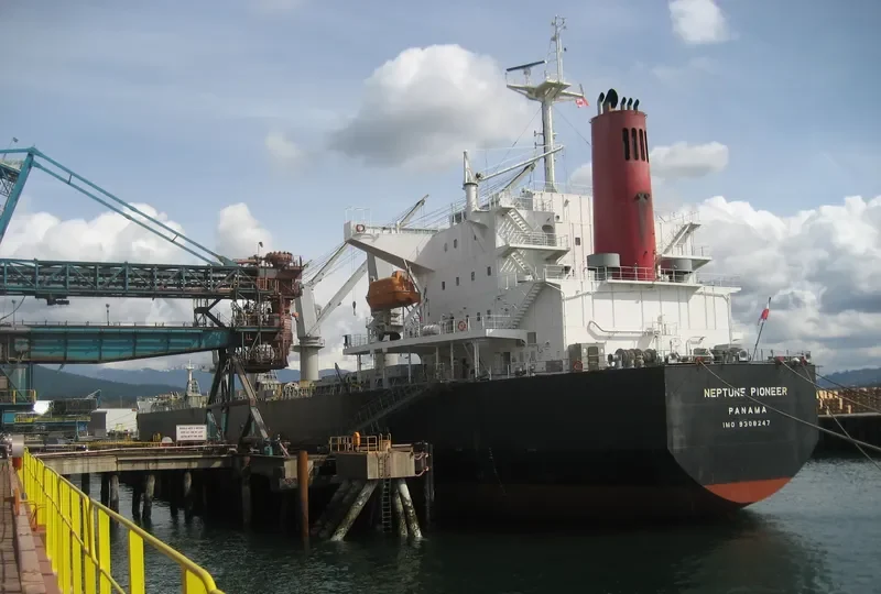 ICARIUS Bulk Carrier IMO 9308247 photo 9