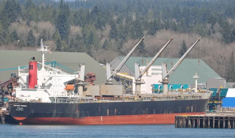 ICARIUS Bulk Carrier IMO 9308247 photo 10